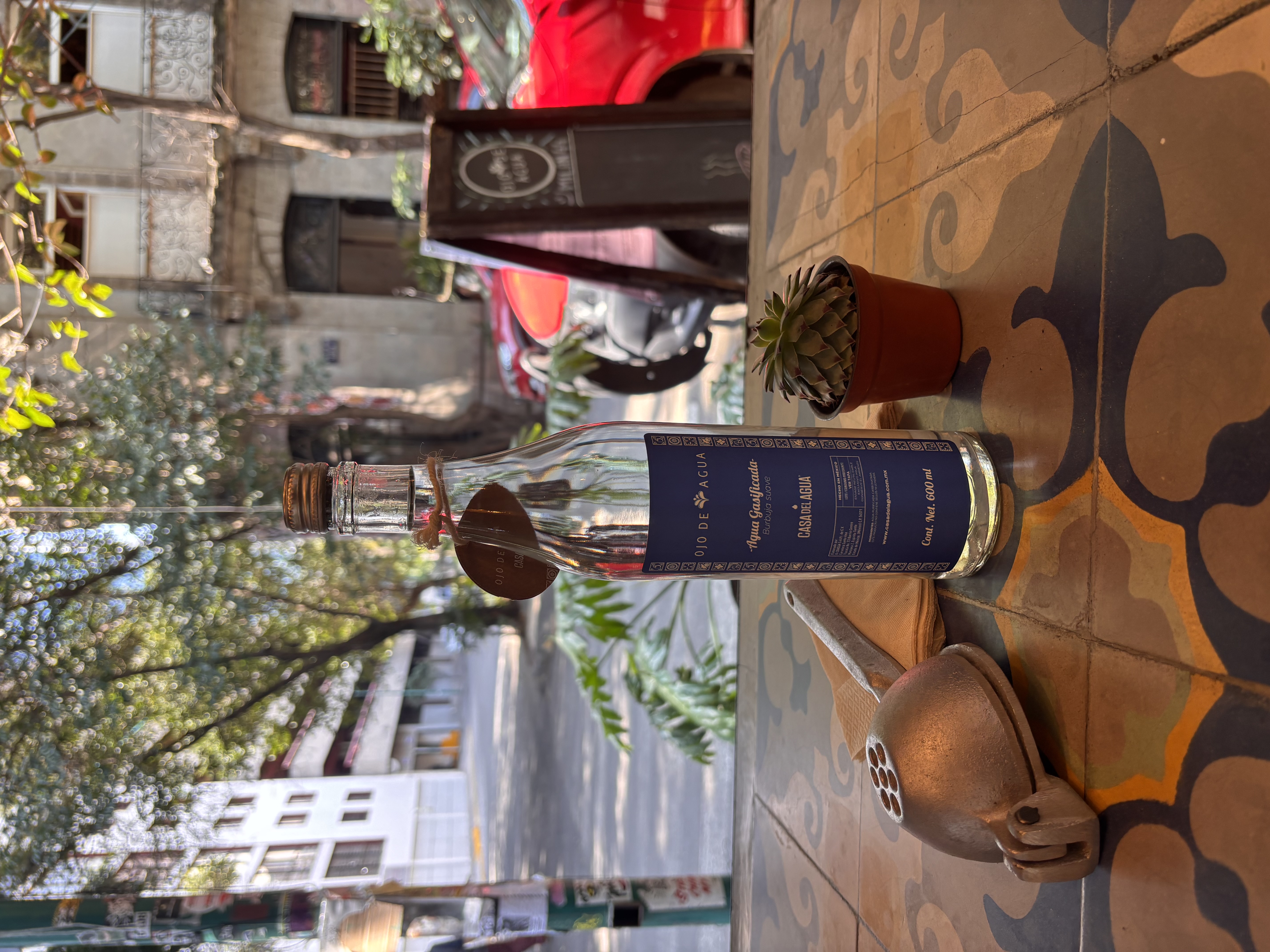 cdmx_fancy_water.jpeg