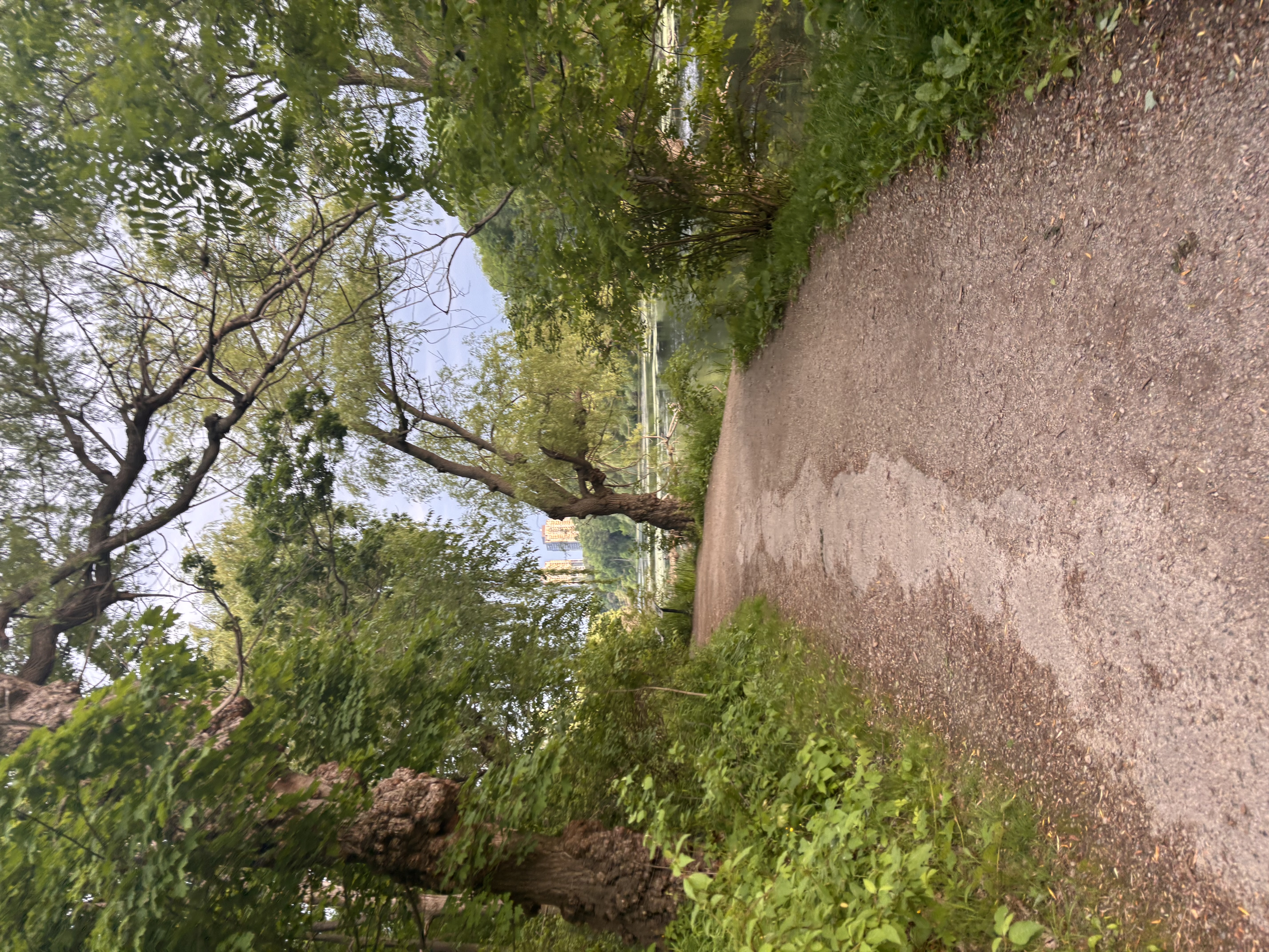 high-park-toronto.jpeg