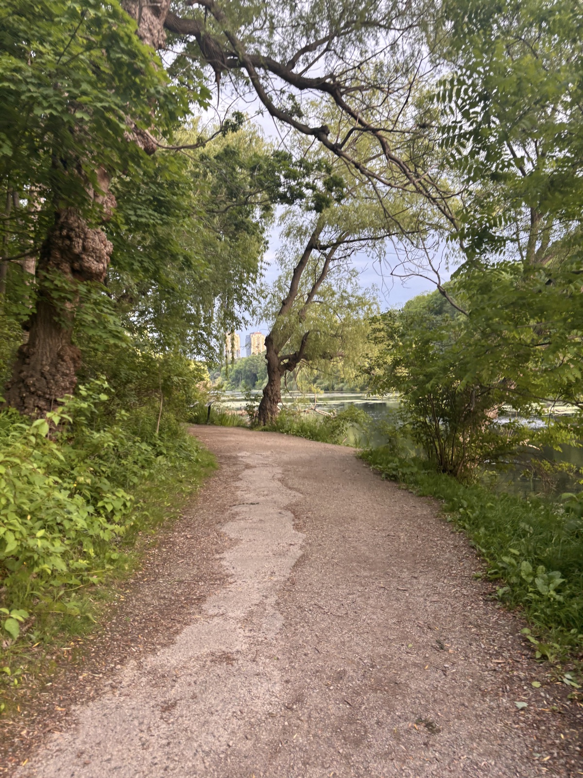 high-park-toronto.jpeg