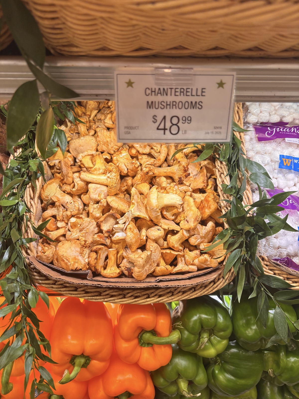 nyc-mushrooms.jpeg