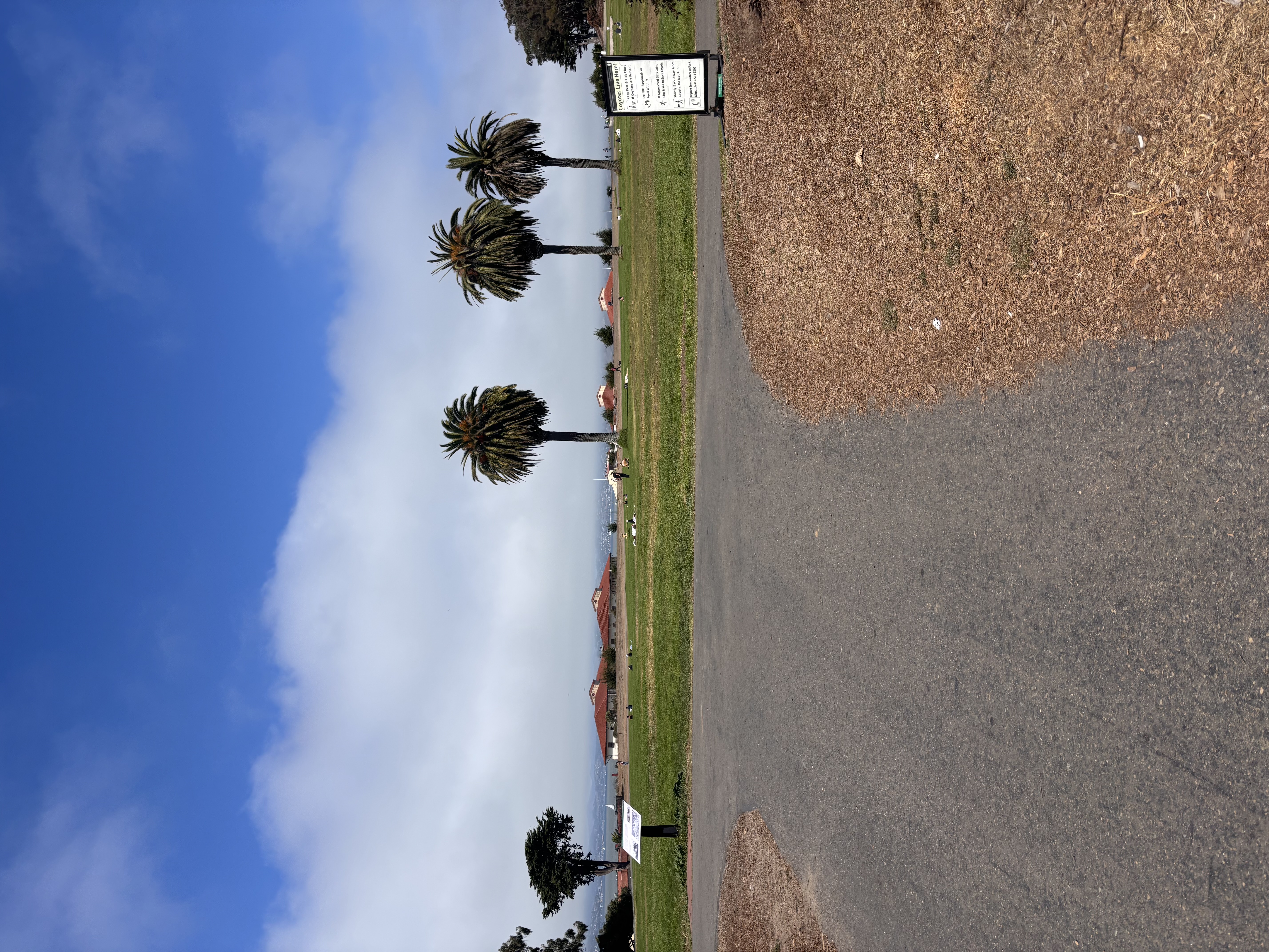 sf_clouds.jpeg