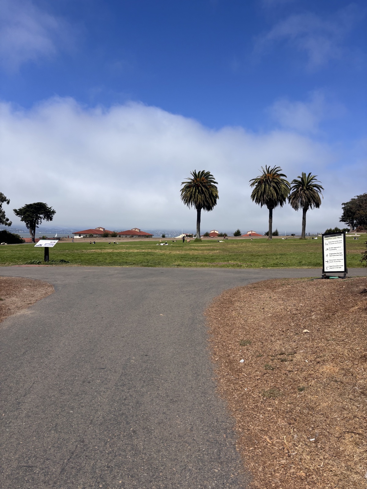 sf_clouds.jpeg
