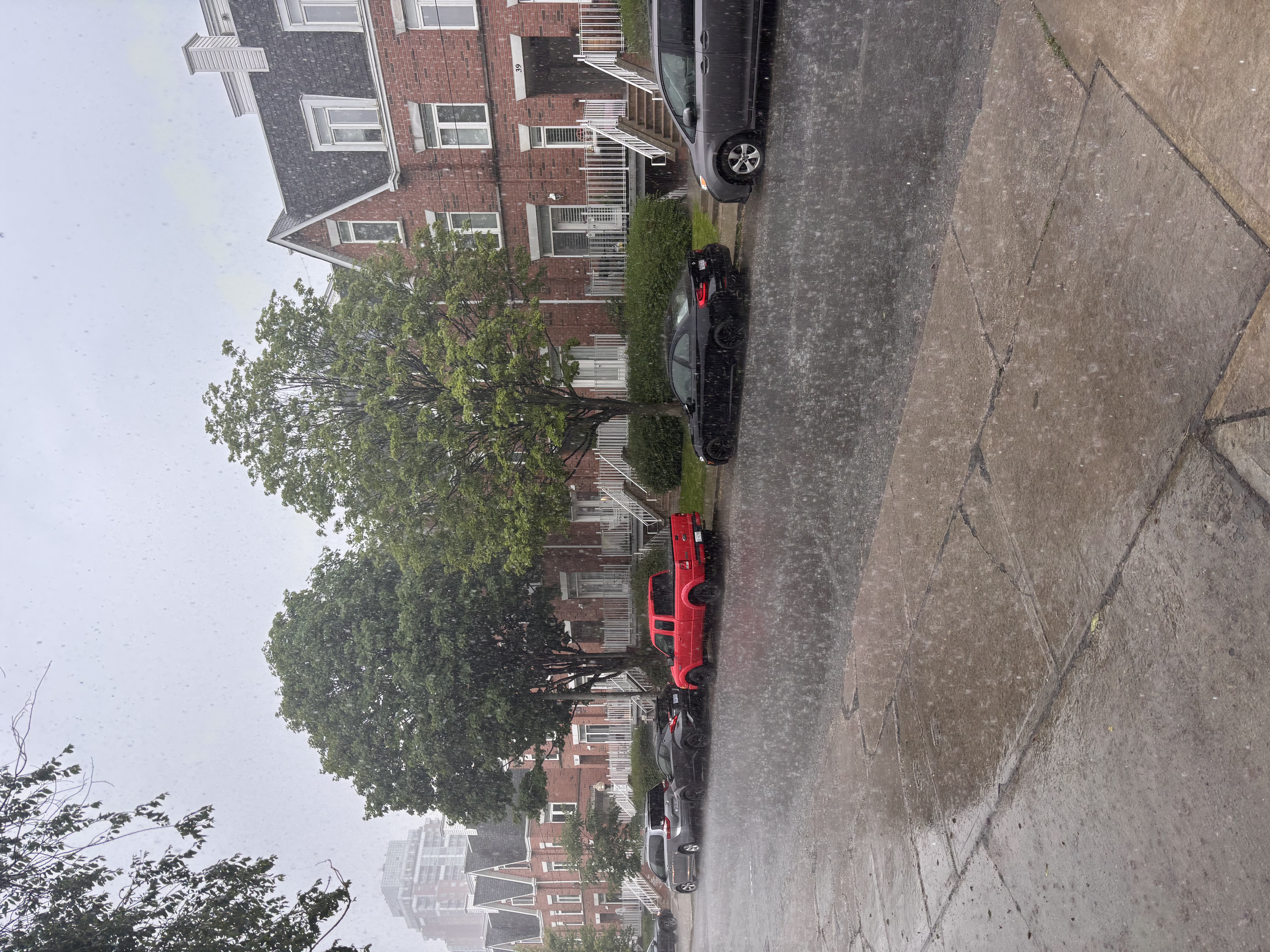 toronto-rain.jpeg