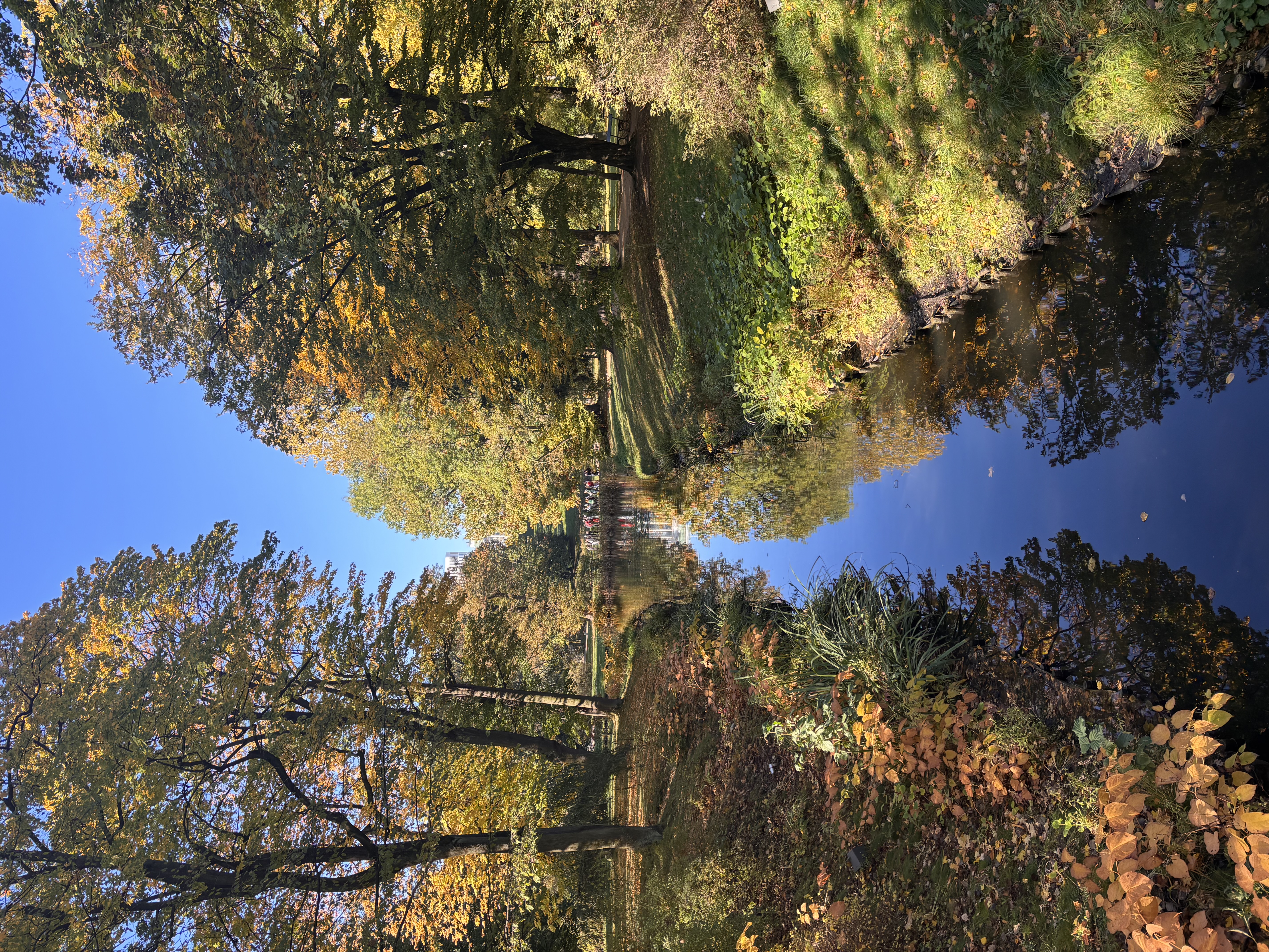 warsaw-park.jpeg